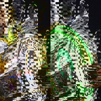 G.R.E.S. Imperatriz Leopoldinense (RJ) photo 18