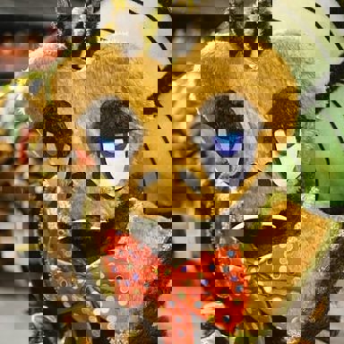 G.R.C.S.E.S Acadêmicos do Tucuruvi