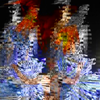 G.R.C.S.E.S. Águia de Ouro photo 18