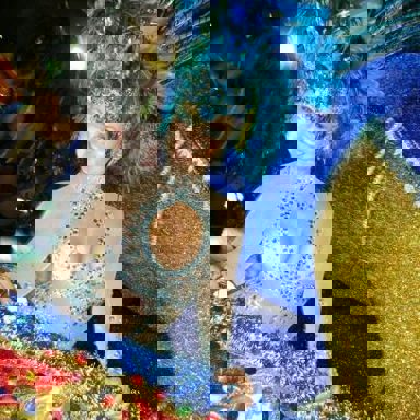 G.R.C.S.E.S. Águia de Ouro