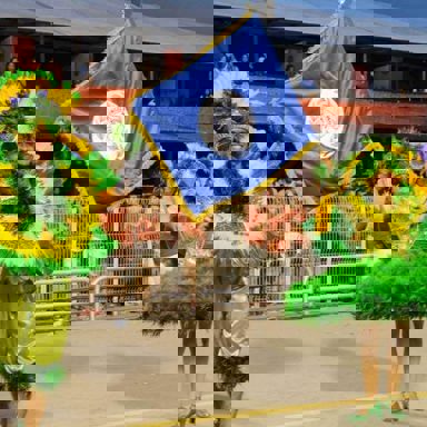 G.R.E.S. Acadêmicos do Tatuapé