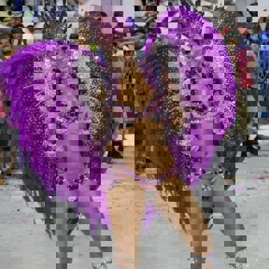 G.R.E.S. Estação Primeira de Mangueira (RJ)