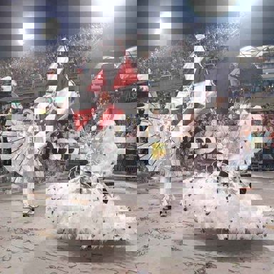 G.R.E.S. Estácio de Sá (RJ) photo 13