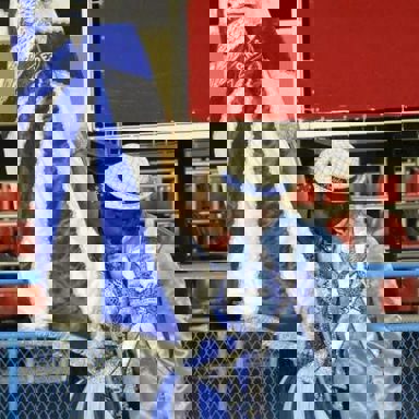 G.R.E.S. Portela (RJ)