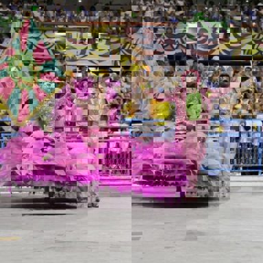 G.R.E.S. Estação Primeira de Mangueira (RJ) photo 19