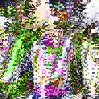 G.R.E.S. São Clemente (RJ) photo 13