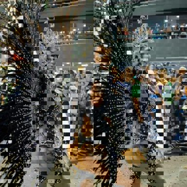 G.R.E.S. Mocidade Independente de Padre Miguel (RJ)