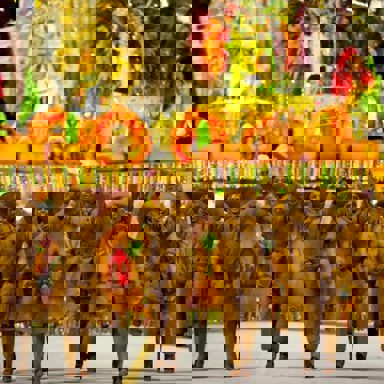 G.R.C.S.E.S Acadêmicos do Tucuruvi photo 18