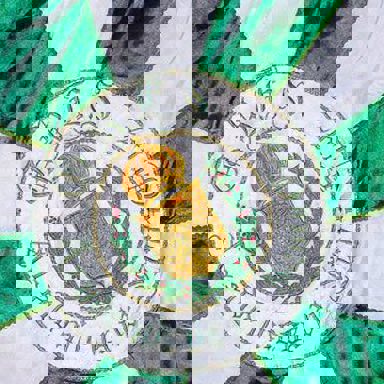 G.R.E.S. Acadêmicos de Santa Cruz photo 19