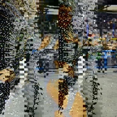 G.R.E.S. Mocidade Independente de Padre Miguel (RJ)