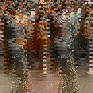 G.R.E.S. Estação Primeira de Mangueira (RJ) photo 14