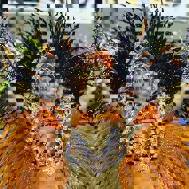 G.R.E.S. Acadêmicos de Santa Cruz