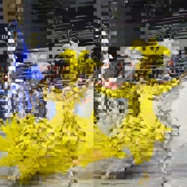 G.R.E.S. Arranco do Engenho de Dentro