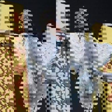 G.R.E.S. Acadêmicos do Salgueiro (RJ) photo 19