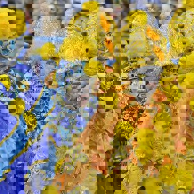 G.R.E.S Paraíso do Tuiuti photo 17