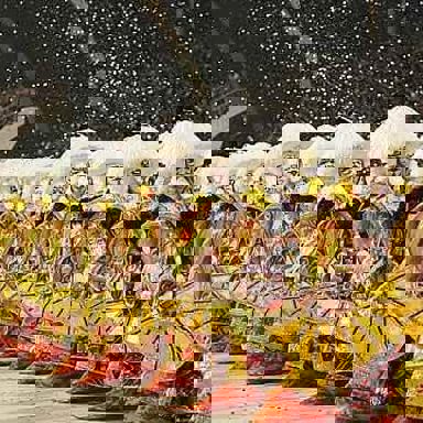 G.R.C.S.E.S Unidos de Vila Maria photo 14