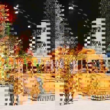 G.R.C.S.E.S Acadêmicos do Tucuruvi photo 11