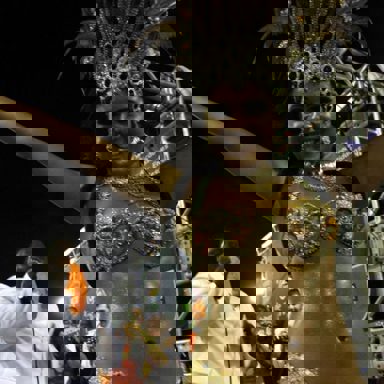 G.R.E.S. Imperatriz Leopoldinense (RJ) photo 19