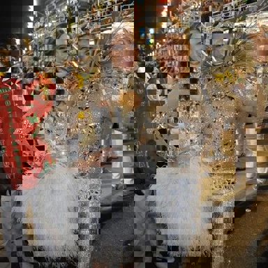 G.R.E.S. Acadêmicos do Grande Rio (RJ) photo 17