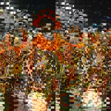 G.R.E.S. Acadêmicos do Salgueiro (RJ) photo 14