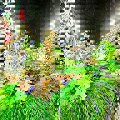 G.R.E.S. Acadêmicos do Grande Rio (RJ)