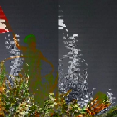 G.R.E.S. Imperatriz Leopoldinense (RJ)