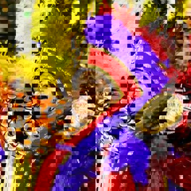 G.R.C.S. Império de Casa Verde (SP) photo 17