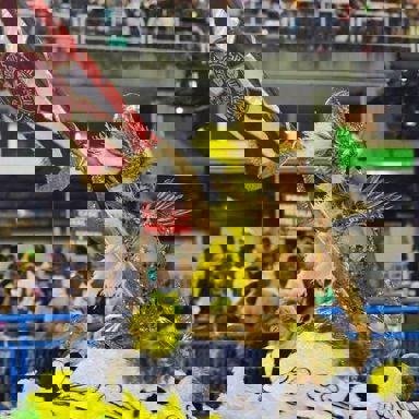 G.R.E.S. Acadêmicos do Salgueiro (RJ)