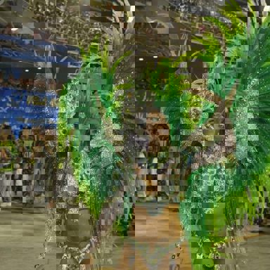 G.R.E.S. Acadêmicos de Santa Cruz