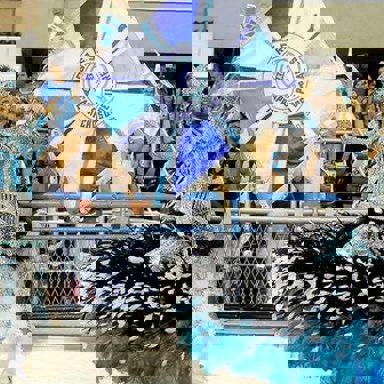 G.R.E.S. Caprichosos de Pilares (RJ) photo 11