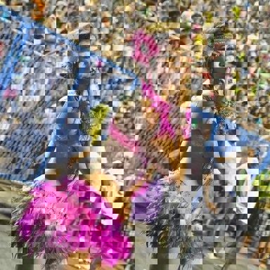 G.R.E.S. Estação Primeira de Mangueira (RJ) photo 13