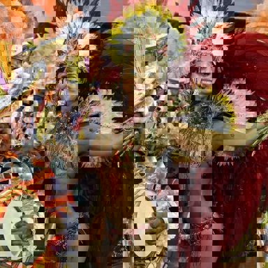 G.R.E.S. Acadêmicos do Grande Rio (RJ) photo 13