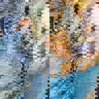 G.R.E.S. Acadêmicos do Grande Rio (RJ)