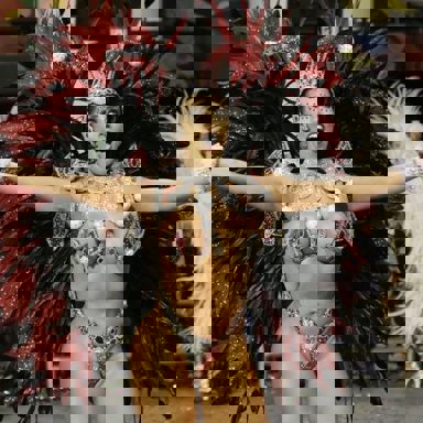 G.R.E.S. Gaviões Da Fiel (SP)