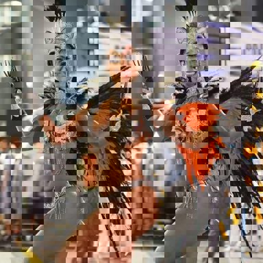 G.R.E.S. Acadêmicos do Tatuapé