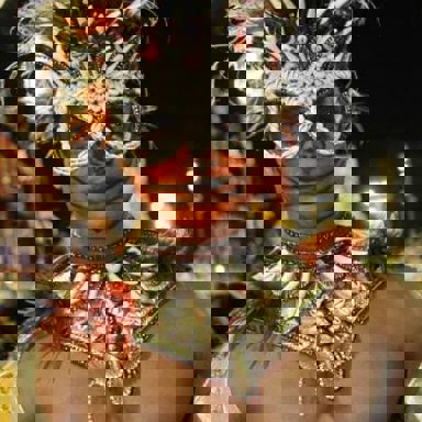 G.R.E.S Paraíso do Tuiuti