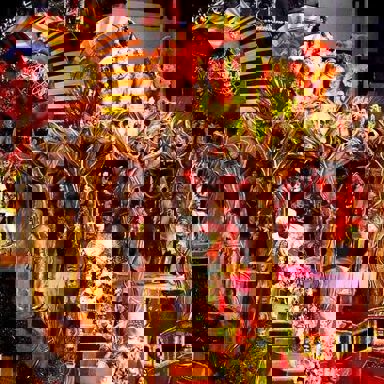 G.R.E.S. Tom Maior photo 9