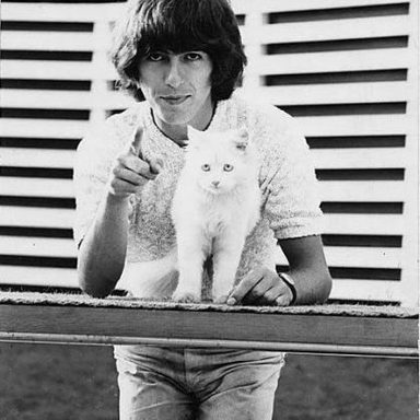 George Harrison photo 95