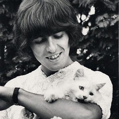 George Harrison photo 134