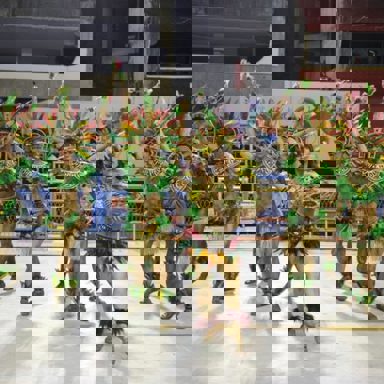 GRES União de Jacarepaguá photo 16