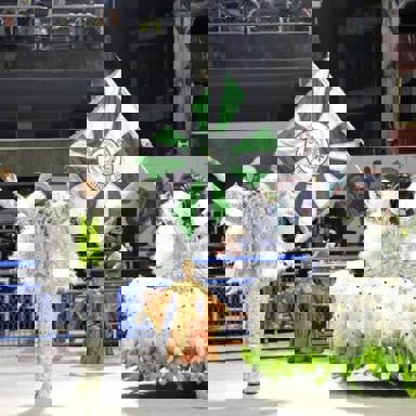 GRES União de Jacarepaguá photo 10