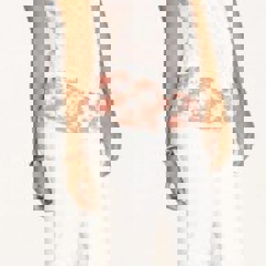 High School Musical 2