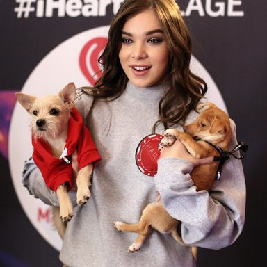Hailee Steinfeld photo 594