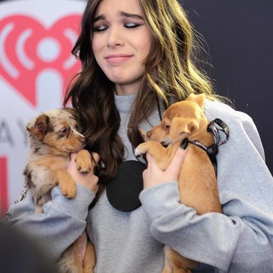 Hailee Steinfeld photo 593