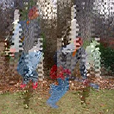 Harry And The Potters