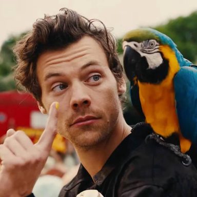 Harry Styles photo 23