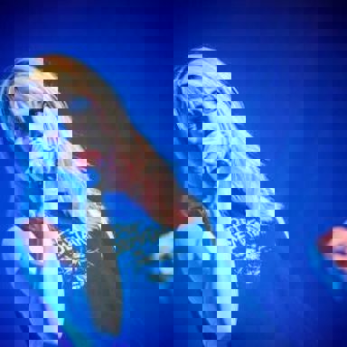 Hayley Williams photo 9