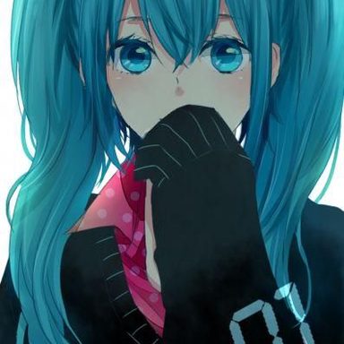 Hatsune Miku photo 40