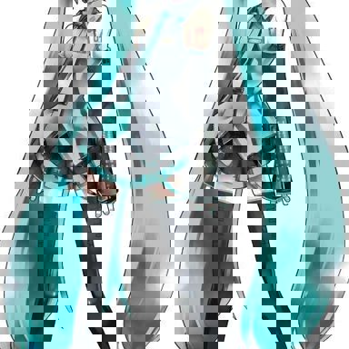 Hatsune Miku photo 19