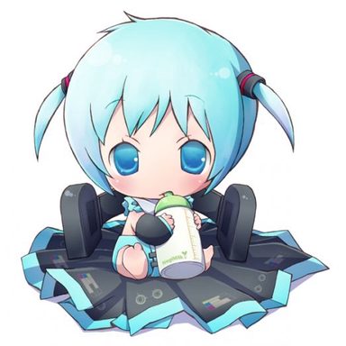 Hatsune Miku photo 71